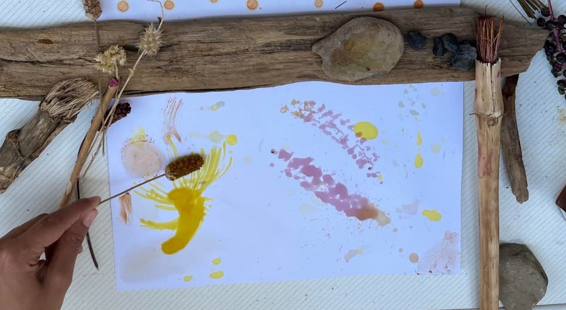Muestras de pigmentos vegetales y acuarelas naturales