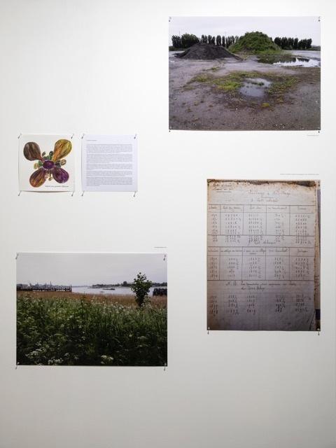 Archivo botánico