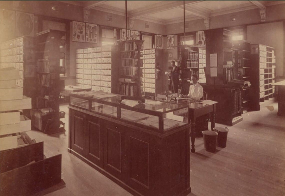 Colección de herbario