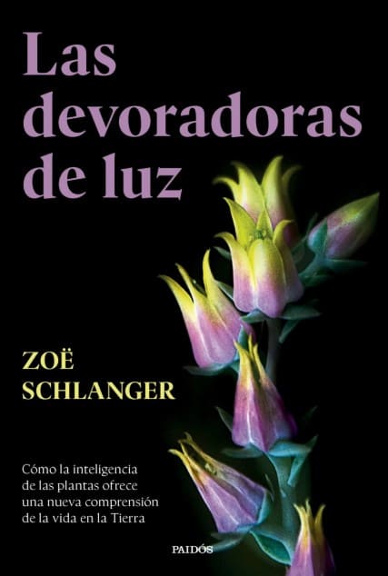 Devoradoras de luz