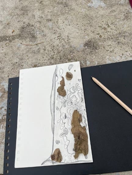 Muestras de diarios de naturaleza dibujados a mano