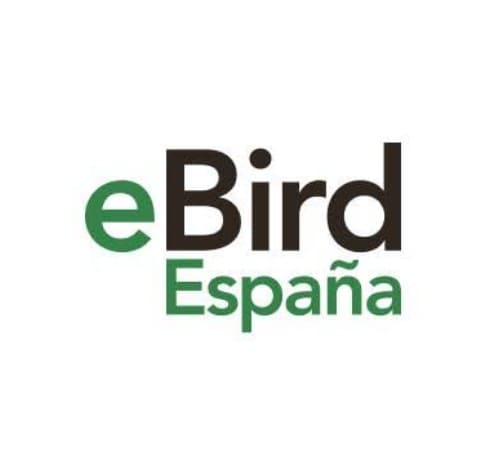 eBird
