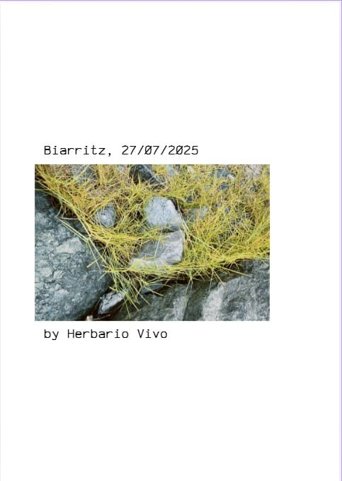 Edición y autoedición de fanzines vegetales