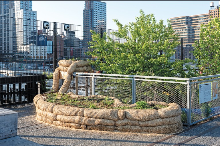 Vista del jardín «Ballast Flora». Nueva York. 2018