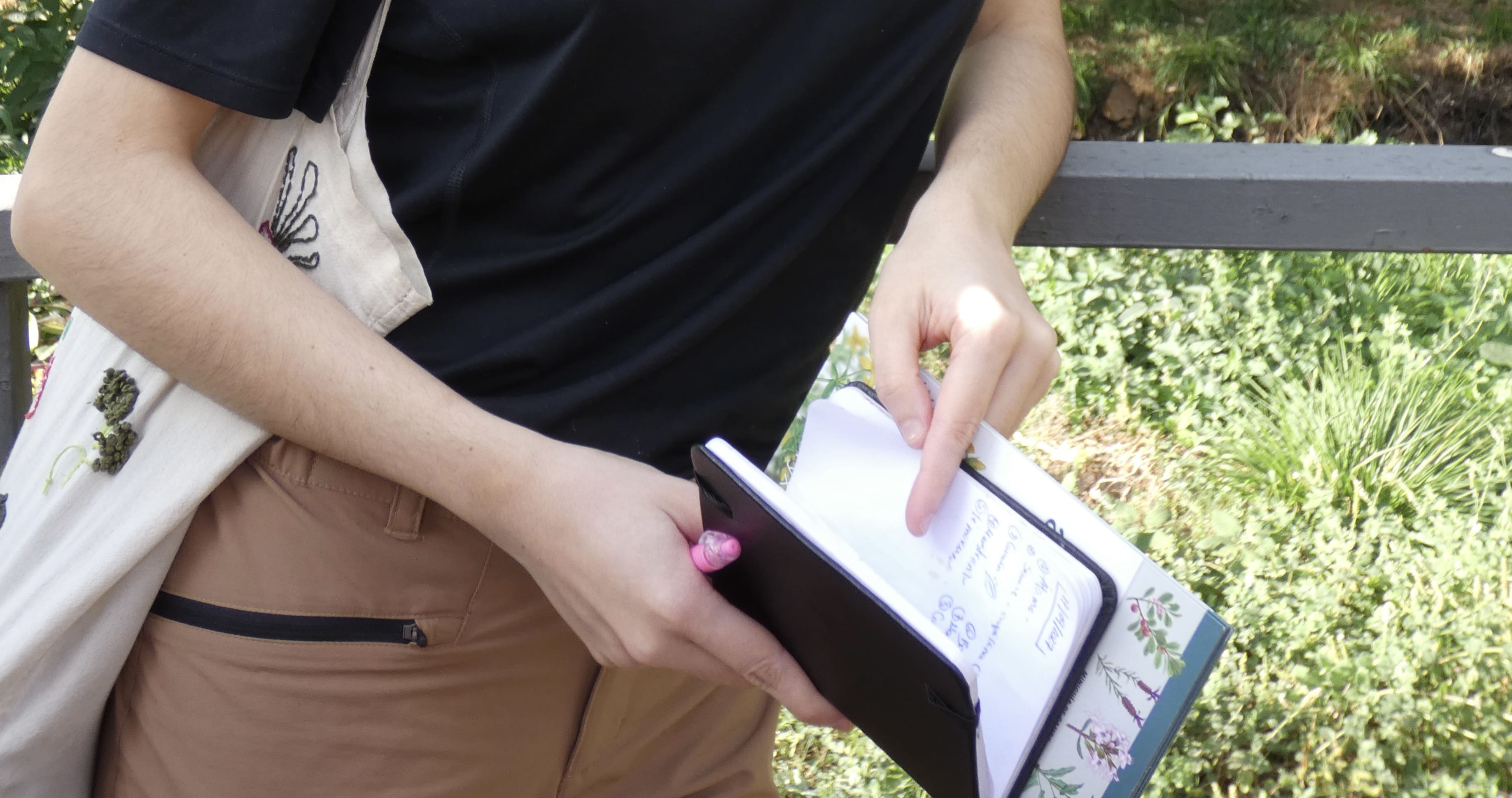 Persona observando y dibujando una planta en un cuaderno
