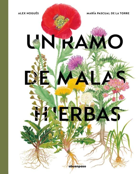 hierbas