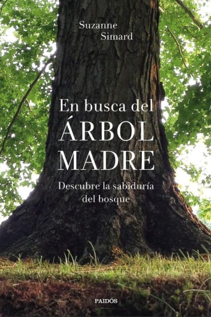 En busca del Árbol Madre
Descubre la sabiduría del bosque