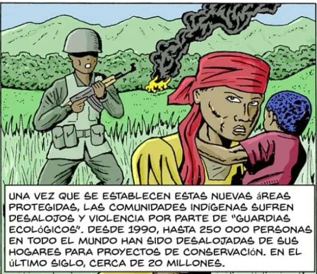 Herbarios y conservación de la biodiversidad vegetal.