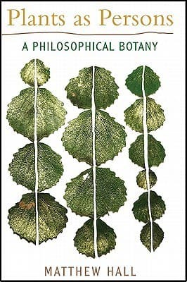 Plants as persons