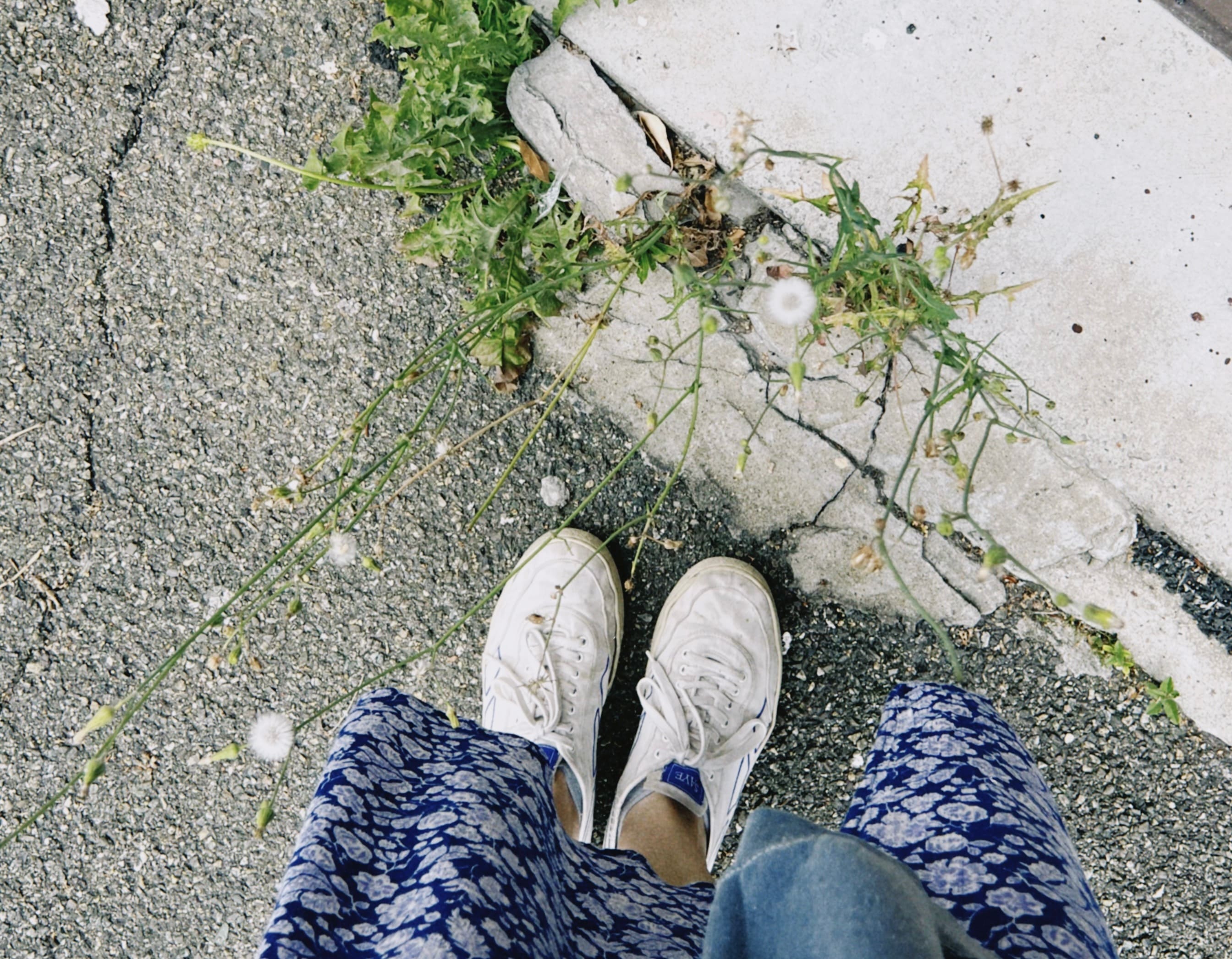 Caminando entre plantas