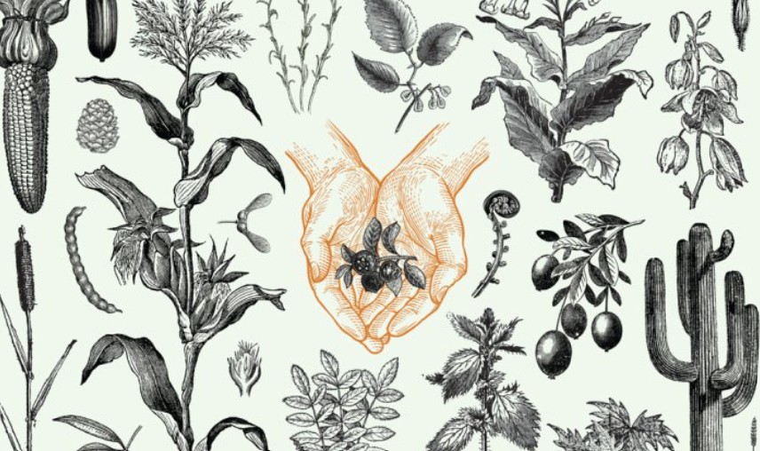 Ilustración de Enrique Salmón.