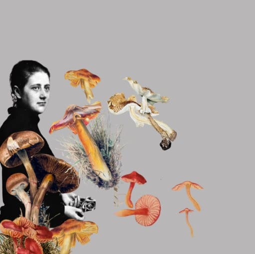 Escritora e ilustradora Beatrix Potter. Fuente: Ritual Powders.