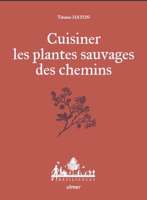 Cuisiner les plantes sauvages des chemins