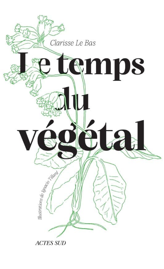 Le temps du végétal