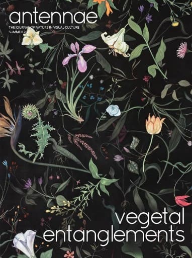 Vegetal entanglements