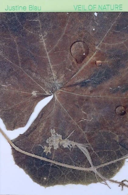 Veil of Nature